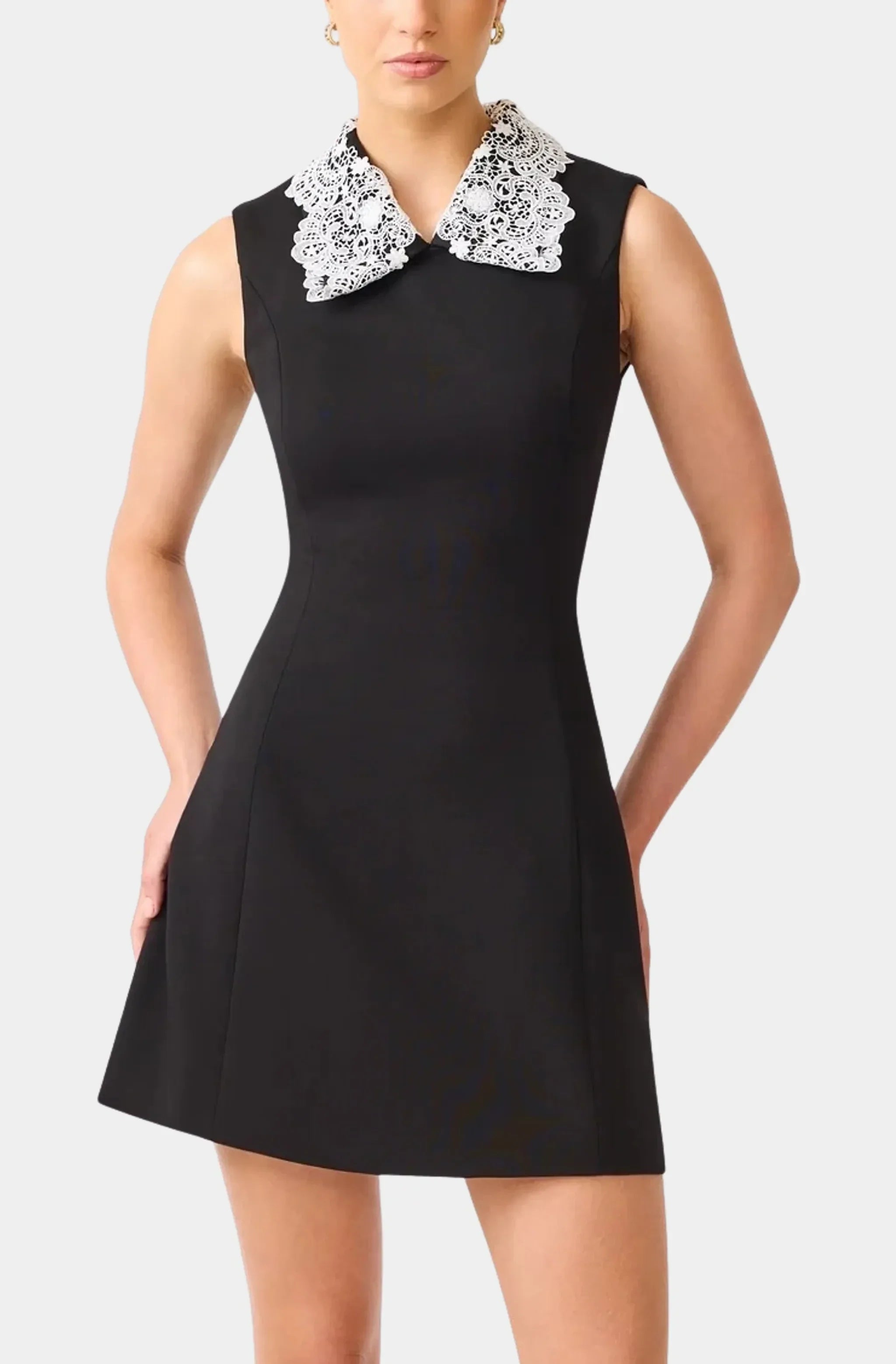 Elysia Lace Collar Mini Dress